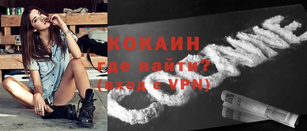 шишки Вязьма