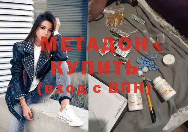 прущие грибы Вяземский