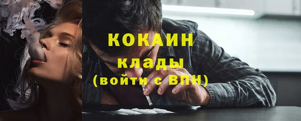 прущие грибы Вяземский