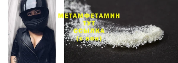прущие грибы Вяземский