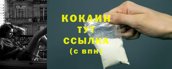 прущие грибы Вяземский