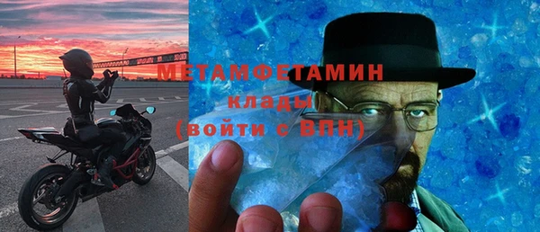 прущие грибы Вяземский
