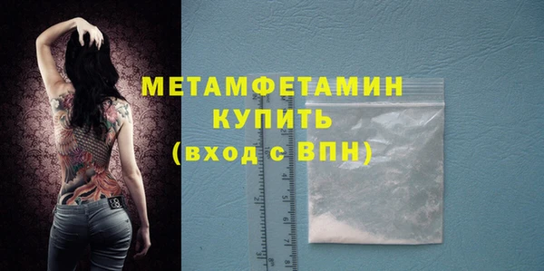 прущие грибы Вяземский
