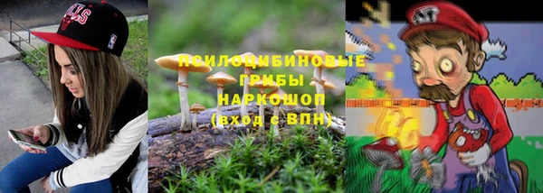 шишки Вязьма