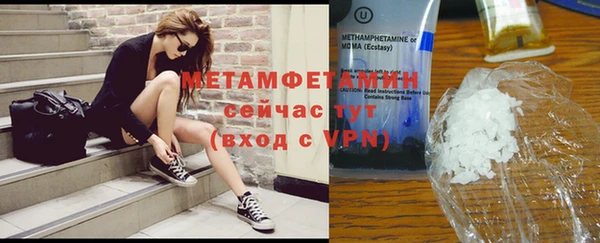 прущие грибы Вяземский