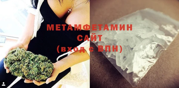 прущие грибы Вяземский