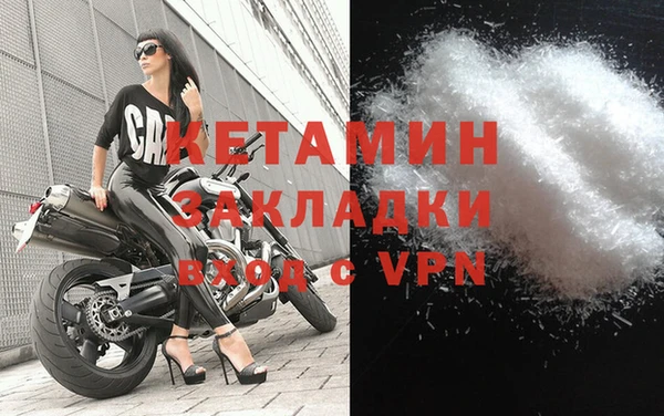 прущие грибы Вяземский