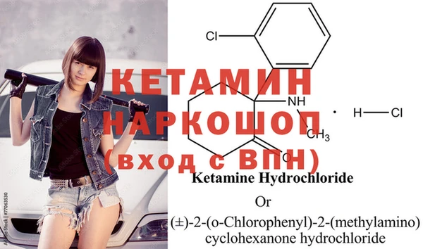 прущие грибы Вяземский