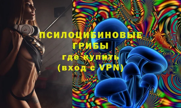 шишки Вязьма