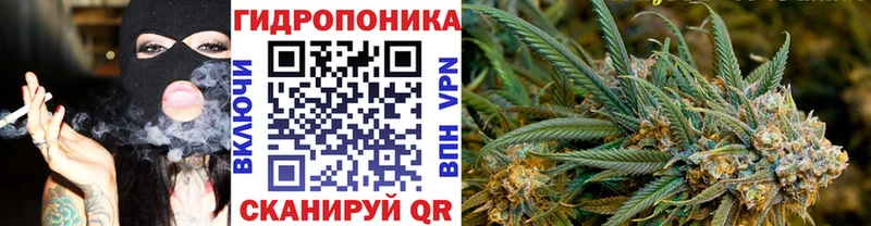 Бошки Шишки Amnesia  купить наркоту  ссылка на мегу ссылки  Сим 